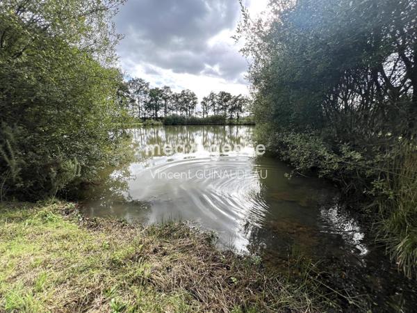 Terrain à BEGROLLES-EN-MAUGES, 49122 - 12539m²