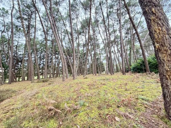 PROPRIÉTÉ ÉQUESTRE DE 22 HECTARES