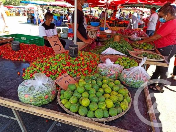 Maison à vendre  3 pièces - 49,35 m2 ST DENIS - 974