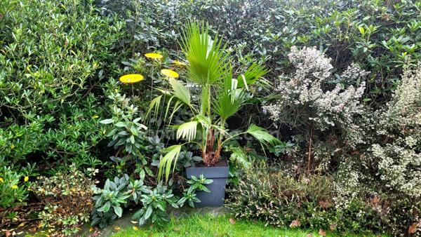 Maison 2 pièces Saint-AVE 56890 Morbihan Bretagne Sud