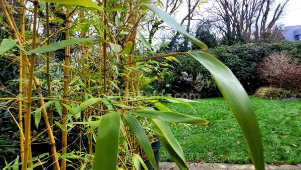 Maison 2 pièces Saint-AVE 56890 Morbihan Bretagne Sud