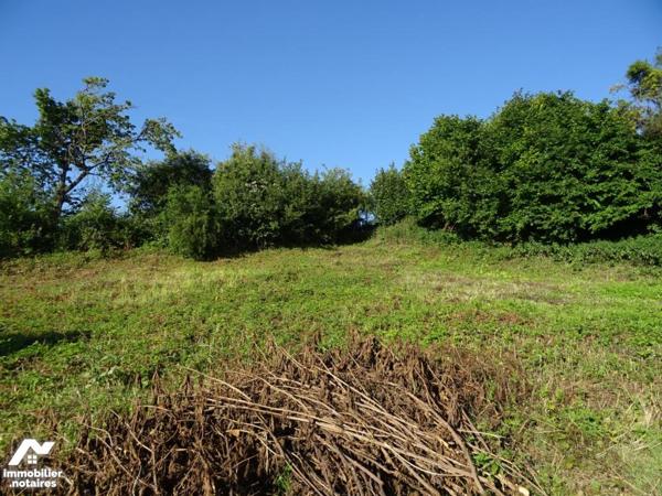 TERRAIN A BATIR DANS VILLAGE AXE REIMS / JONCHERY SUR VESLE