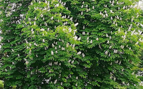 Appartement à vendre    3 pièces • 57,08 m2 Le Bourget