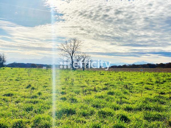 Terrain
        
        - 2042 m² Exclusivité 42 000 € *