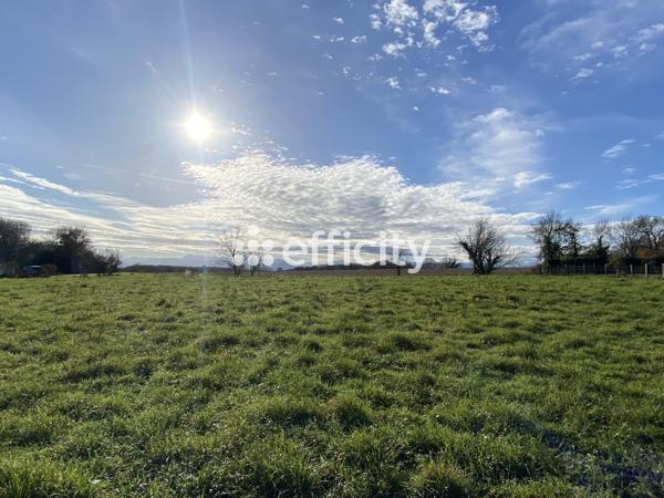 Terrain
        
        - 2042 m² Exclusivité 42 000 € *