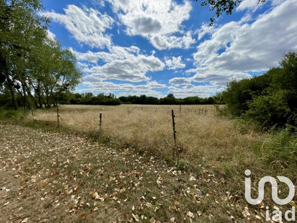 Maison à vendre 6 pièces 217 m² Parassy