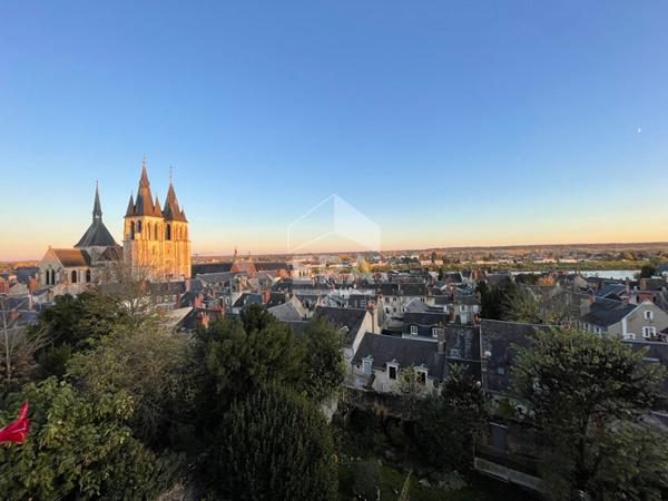 APPART. A VENDRE T3 - BLOIS - Beaux volumes, Vue imprenable sur monuments et Loire