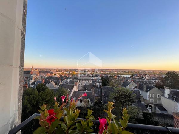 APPART. A VENDRE T3 - BLOIS - Beaux volumes, Vue imprenable sur monuments et Loire