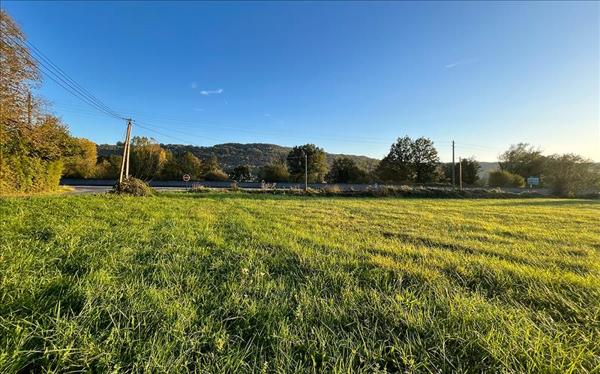 Terrain à vendre |  Terrasson-Lavilledieu |  7277 m²