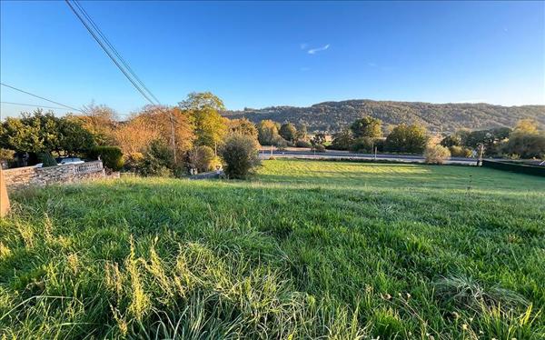 Terrain à vendre |  Terrasson-Lavilledieu |  7277 m²