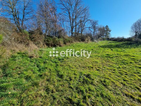 Maison 2 pièces - 200 m² Exclusivité efficity