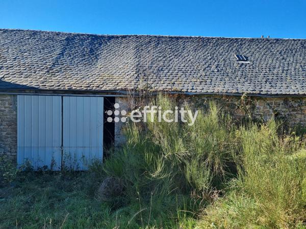 Maison 2 pièces - 200 m² Exclusivité efficity