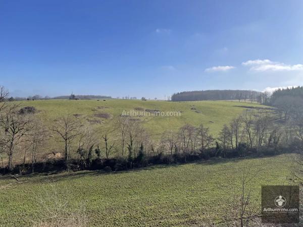 Vente Maison 11 pièces 269 m2 à Le Coteau