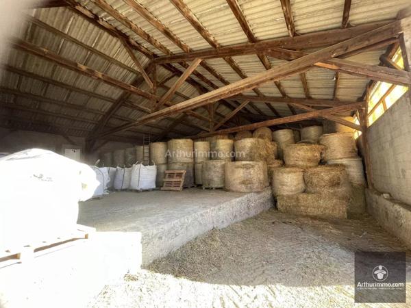 Vente Maison 11 pièces 269 m2 à Le Coteau