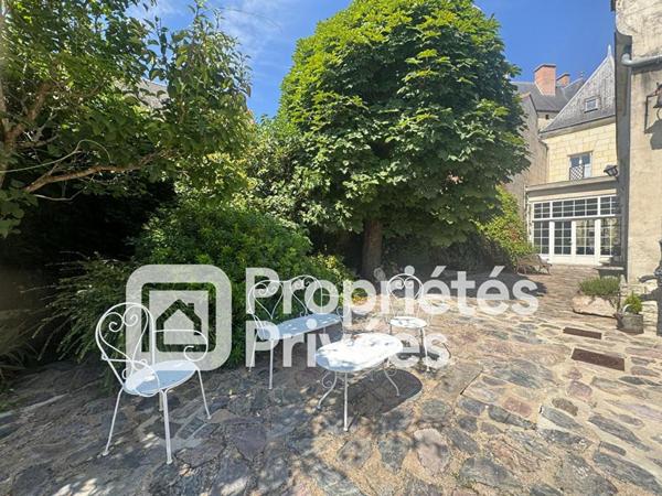 A VENDRE Langeais 37130 Maison et chambres d'hôtes Langeais 14 pièces 420 m2