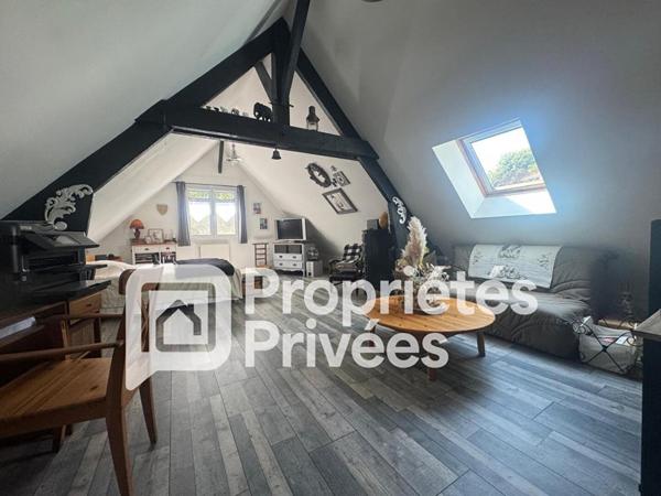 A VENDRE Langeais 37130 Maison et chambres d'hôtes Langeais 14 pièces 420 m2