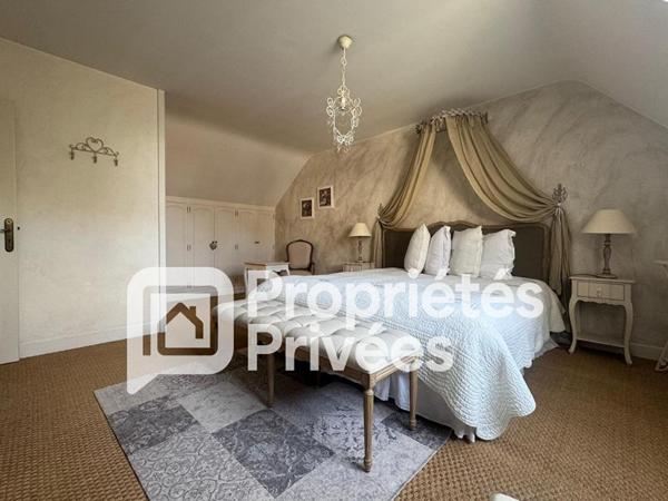 A VENDRE Langeais 37130 Maison et chambres d'hôtes Langeais 14 pièces 420 m2