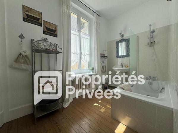 A VENDRE Langeais 37130 Maison et chambres d'hôtes Langeais 14 pièces 420 m2