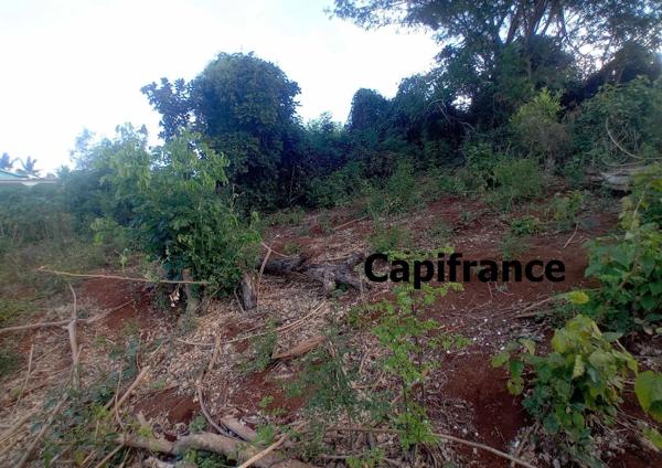 Terrain à bâtir - 500 m² à vendre - Kangani Commune de KOUNGOU (976)
