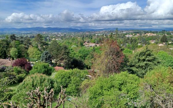 Maison à vendre    5 pièces • 184,14 m2 Saint-Didier-au-Mont-d'Or