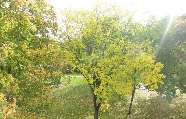 Appartement T3 avec garage et commerces de proximité