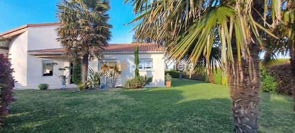 Vente
                Maison174 m² - 6 Pièces -
                    SEVREMOINE (49230)
