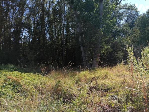 TERRAIN DE LOISIRS
