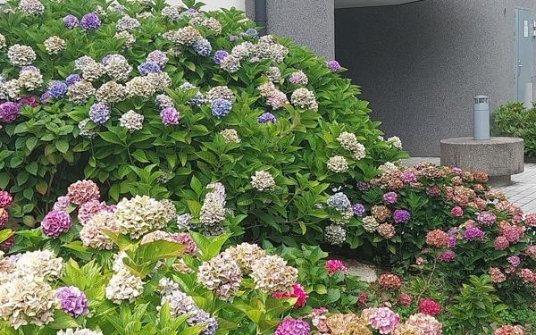 Appartement à vendre    4 pièces • 133 m2 Saint-Genis-Pouilly