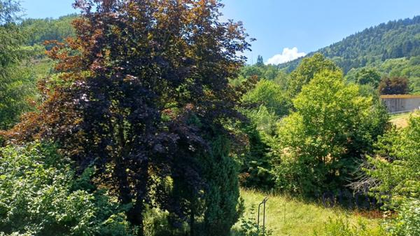 Achat vente Maison Bitschwiller lès Thann