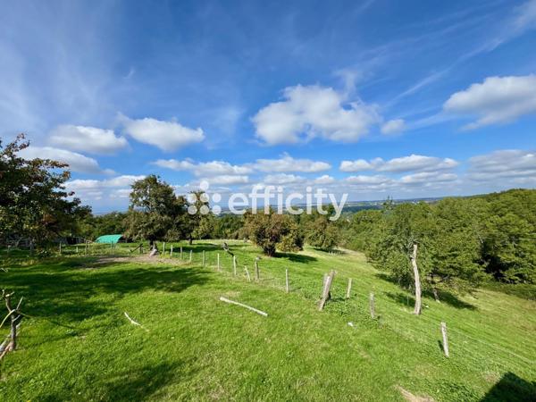 Maison 13 pièces - 338 m² Bien prestige