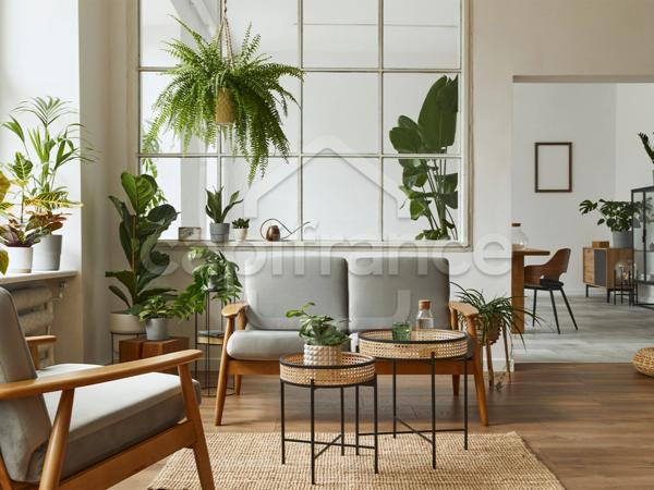 appartement à vendre 6 pièces LE PLESSIS ROBINSON (92)