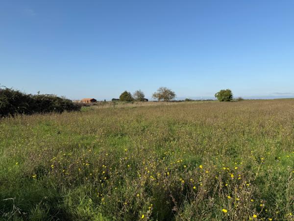 Terrain à batir  6804 m²