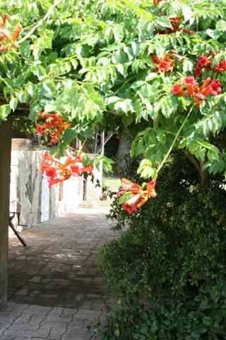 Dpt Gers (32), MARCIAC et PLAISANCE proches, BELLE MAISON DE MAITRE avec VUE, 320m2 piscine +dependances, cave sur 3500m2 de jardin