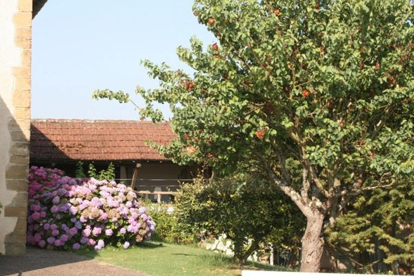 Dpt Gers (32), MARCIAC et PLAISANCE proches, BELLE MAISON DE MAITRE avec VUE, 320m2 piscine +dependances, cave sur 3500m2 de jardin