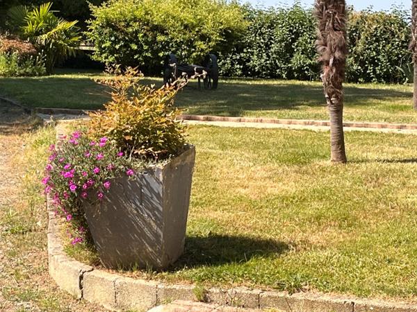 Dpt Gers (32), MARCIAC et PLAISANCE proches, BELLE MAISON DE MAITRE avec VUE, 320m2 piscine +dependances, cave sur 3500m2 de jardin