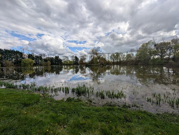 Exclusivité NESTENN Loches - Charmante maison 6 pièces à rafraîchir sur grand terrain à Clion