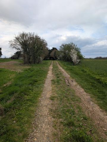 Exclusivité NESTENN Loches - Charmante maison 6 pièces à rafraîchir sur grand terrain à Clion