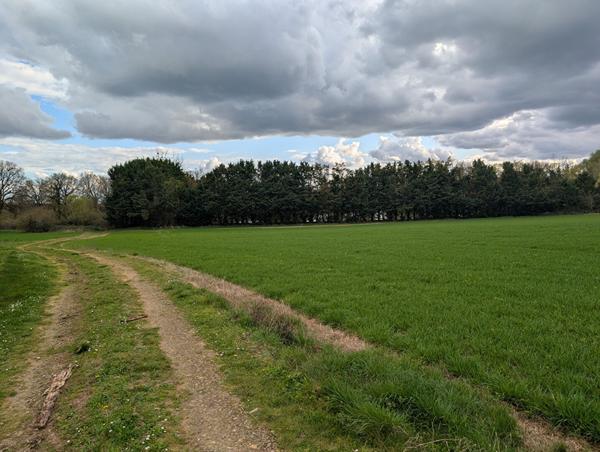 Exclusivité NESTENN Loches - Charmante maison 6 pièces à rafraîchir sur grand terrain à Clion