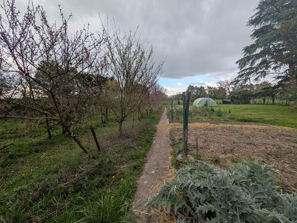 Exclusivité NESTENN Loches - Charmante maison 6 pièces à rafraîchir sur grand terrain à Clion