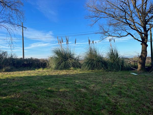 MAISON 5 CHAMBRES DIVATTE SUR LOIRE