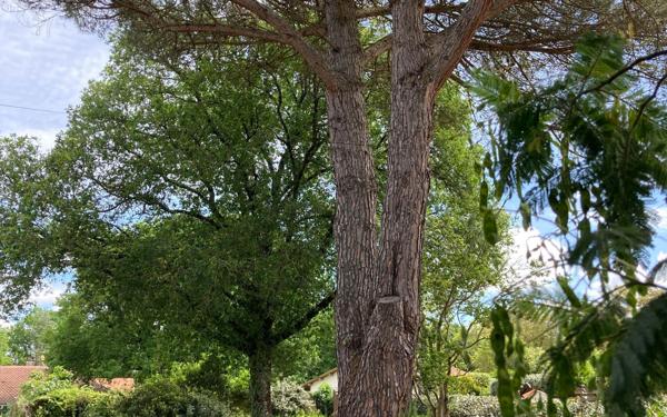 Maison à vendre    5 pièces •  Léon