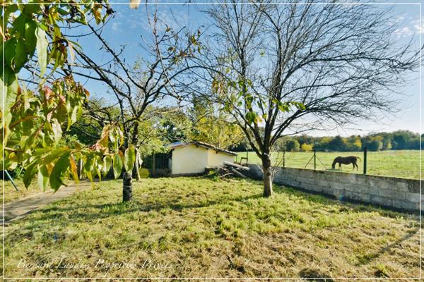 Appartement  3 pièce(s) 80.94 m2