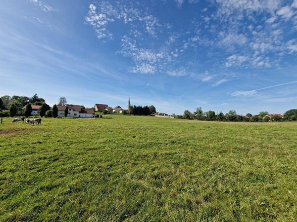 Terrain 763 m2