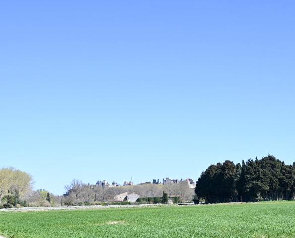 Bien d’exception avec vue sur la Cité de Carcassonne – 4 chambres – Piscines