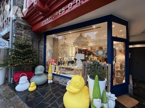 IMMEUBLE DE RAPPORT DOL de BRETAGNE