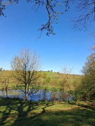 Achat - Maison Montrevault-sur-Èvre 49110 9 pièces 250 m 2