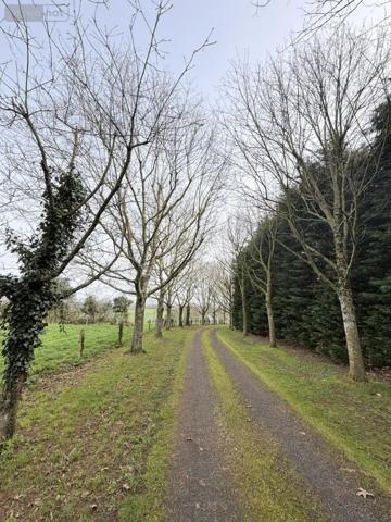 Achat - Maison Montrevault-sur-Èvre 49110 9 pièces 250 m 2