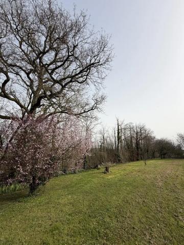 Achat - Maison Montrevault-sur-Èvre 49110 9 pièces 250 m 2