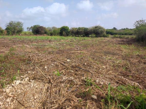 Vente / Terrain constructible