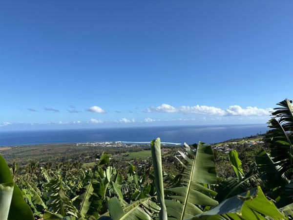 Maison avec piscine et vue exceptionnelle - Les Avirons